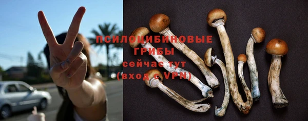 герыч Бугульма