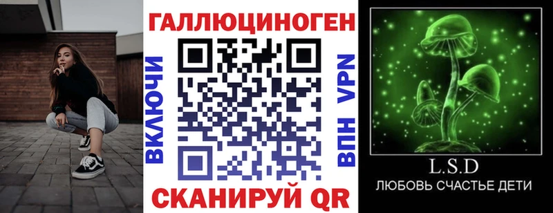 ссылка на мегу ONION  купить наркотики сайты  Кизилюрт  Псилоцибиновые грибы Cubensis 